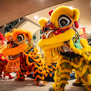Year of the Goat: A Lunar New Year Celebration